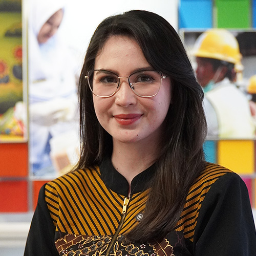 Arumi Bachsin Emil Dardak, S.E.